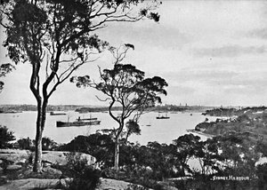 Sydney Harbour, z Cremorne Point, c1900. od Unbekannt