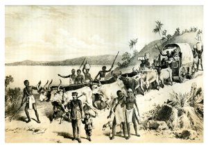 Příjezd k jezeru Ngami, 1883 od Unbekannt
