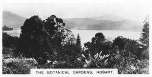 Botanická zahrada, Hobart, Tasmánie, 1928 od Unbekannt