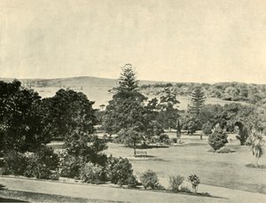 Botanická zahrada v Sydney, 1901. od Unbekannt