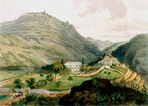 The Briars, Svatá Helena, počátek 19. století 1851 od Unbekannt