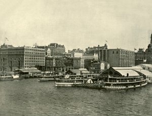 The Circular Quay, Sydney, 1901. od Unbekannt
