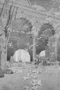 The Courtyard of the Pigeons mešita, 1913 od Unbekannt