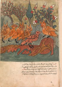 Vraní špión mluví s králem sov a jeho ministry, Folio from a Kalila..., 18. století. od Unbekannt
