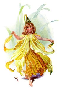 Narcis, 1899 od Unbekannt