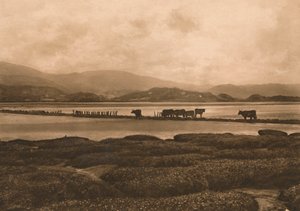 Dovey v Ynyslas, 1902 od Unbekannt