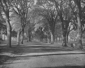 The Elms, New Haven, Connecticut, USA, c1900. od Unbekannt