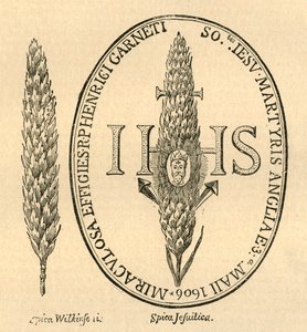 Tvář ve slámě. - Z opatů Anthologia, 1613, 1897. od Unbekannt