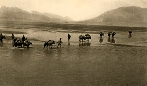 První pohled na Mount Everest, c1918-c1939. od Unbekannt