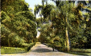 Květinová procházka, Kensington Gardens, Londýn, 20. století od Unbekannt