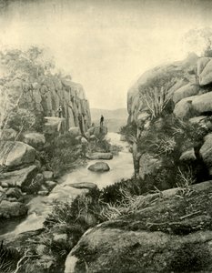 The Gorge, Buffalo Falls, Viktoriánské Alpy, 1901. od Unbekannt
