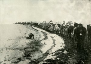 Velký srbský ústup, 1919. od Unbekannt