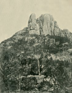 The Hump, Buffalo Mountains, 1901. od Unbekannt