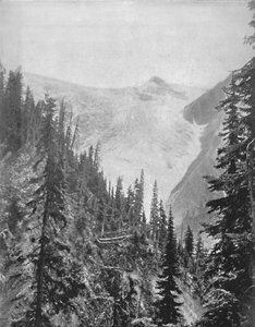 Illecillewaetský ledovec, 19. století od Unbekannt