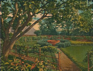 Kuchyňská zahrada, 1946 od Unbekannt