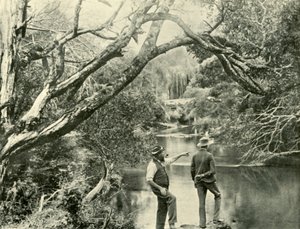 Místo spuštění, Upper Yarra, Victoria, 1901. od Unbekannt