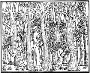 The Lover in the Wood, 1499 1964 od Unbekannt
