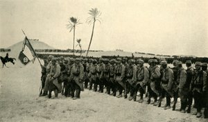 Shromažďování spojenců, první světová válka, 1915, c1920. od Unbekannt