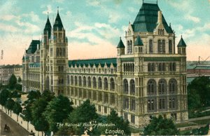 Národní historické muzeum, Londýn, c1910. od Unbekannt
