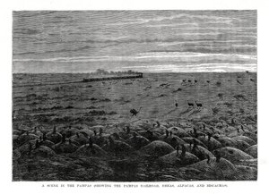 Železnice Pampas, jihoamerické nížiny, 1877 od Unbekannt
