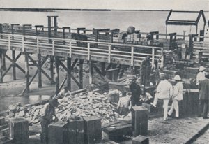 Pearl Fishing Industry - Packing Shell, 1923. od Unbekannt