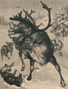 Sob, c19. století od Unbekannt