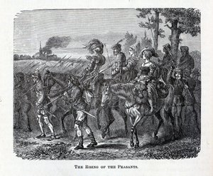 Povstání rolníků, 1882 od Unbekannt