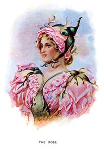 Růže, 1899 od Unbekannt