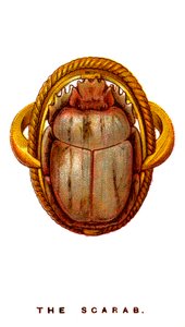 Skarabeus, 1923 od Unbekannt