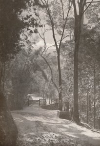 Duch Tijucy, 1914 od Unbekannt