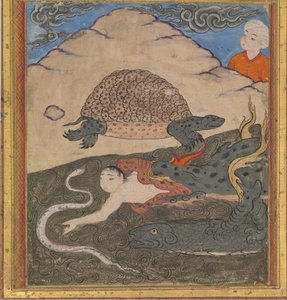 Želva, Folio z 