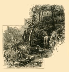 Tropické zahrady, Battersea Park, c1878. od Unbekannt