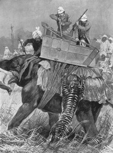Návštěva prince z Walesu v Indii, 1876: The Princes Elephant dobit tygrem, 1901. od Unbekannt