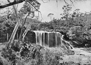 The Weeping Rock u Wentworth Falls, Blue Mountains, c1900. od Unbekannt