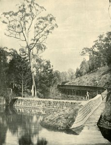 The Weir and Fluming, Kirks Reservoir, 1901. od Unbekannt