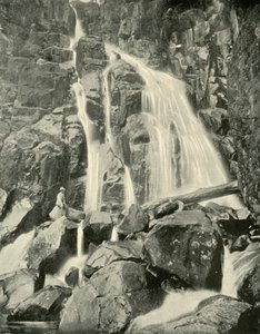 Wellington Falls, Mount Wellington, 1901. od Unbekannt