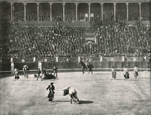 Interiér býčí arény, Madrid, Španělsko, 1895. od Unbekannt