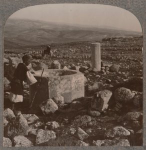 Ruiny Tekoa, c1900 od Unbekannt