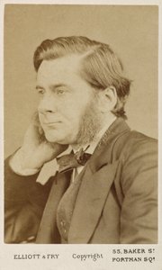 Thomas Henry Huxley, britský biolog, c1865-1886 od Unbekannt