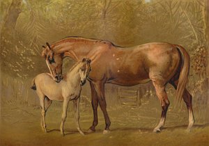 Plnokrevná klisna a hříbě, c1879. od Unbekannt