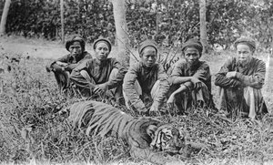 Lovci tygrů, Tonkin, Vietnam, 20. století od Unbekannt