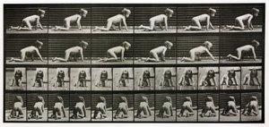 Časosběrné fotografie lezoucího dítěte od Unbekannt