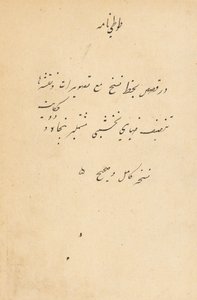 Tuti-Nama Příběhy papouška, c. 1560. od Unbekannt