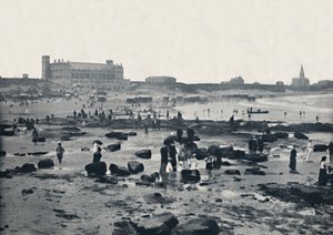 Tynemouth - The Aquarium and Sands, 1895 od Unbekannt