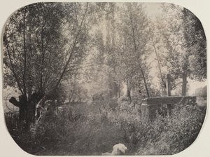 Bez názvu Krajina se psem, c. 1910. od Unbekannt