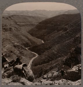 Údolí Arna, pastýř a ovce v popředí, c1900 od Unbekannt