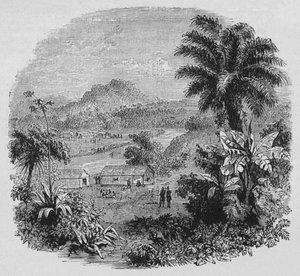 Pohled v Cayenne, c1880 od Unbekannt