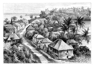 Pohled na Basse-Terre, Guadeloupe, c1890 od Unbekannt