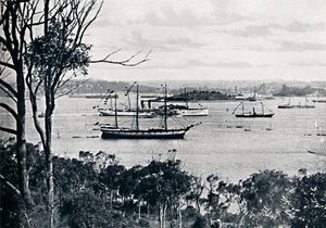 Pohled na Sydney Harbour z North Shore, č. 1, c1900. od Unbekannt