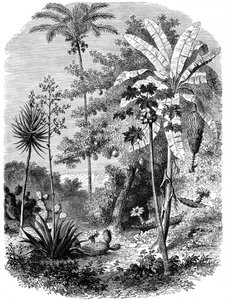 Pohled na španělský Mohan, Guatemala, 1877 od Unbekannt